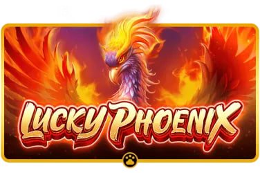 777dragon App 